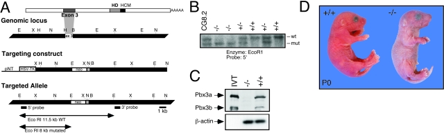 Figure 2-4275