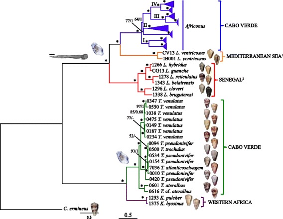 Fig. 2