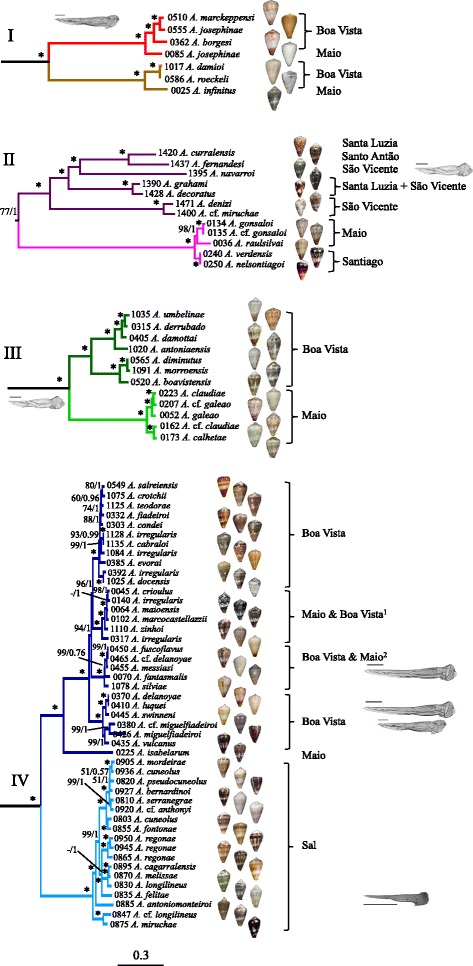 Fig. 3