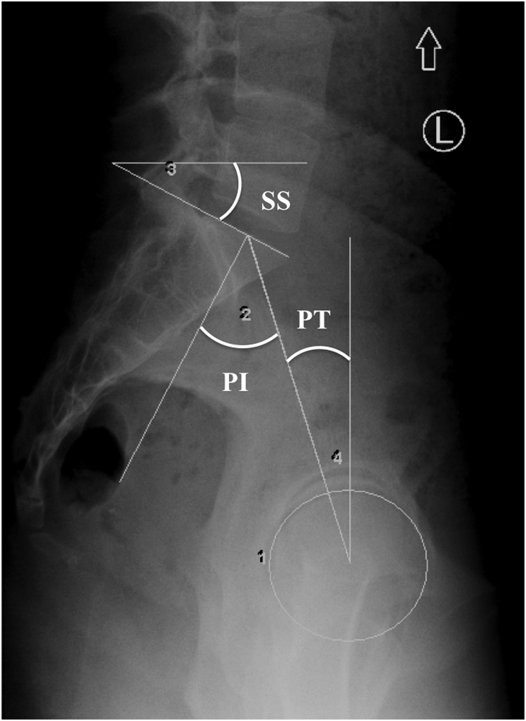 Fig. 1