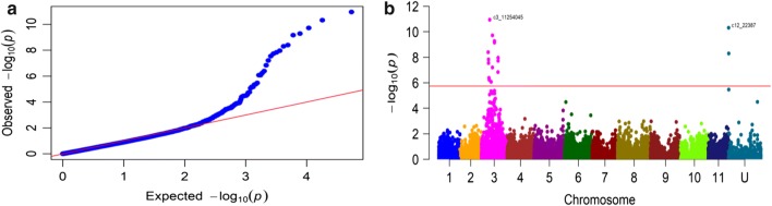 Fig. 3