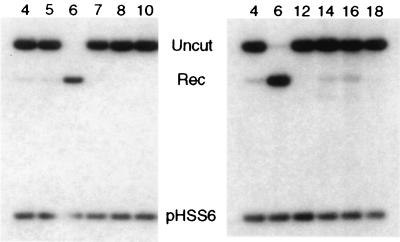 FIG. 5