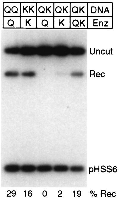 FIG. 7