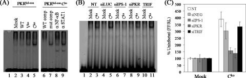 FIG. 4.