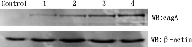 Fig. 2