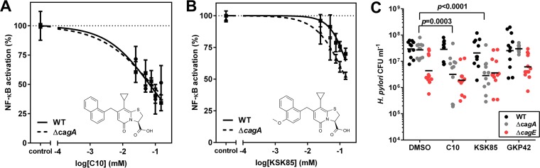 FIG 3 