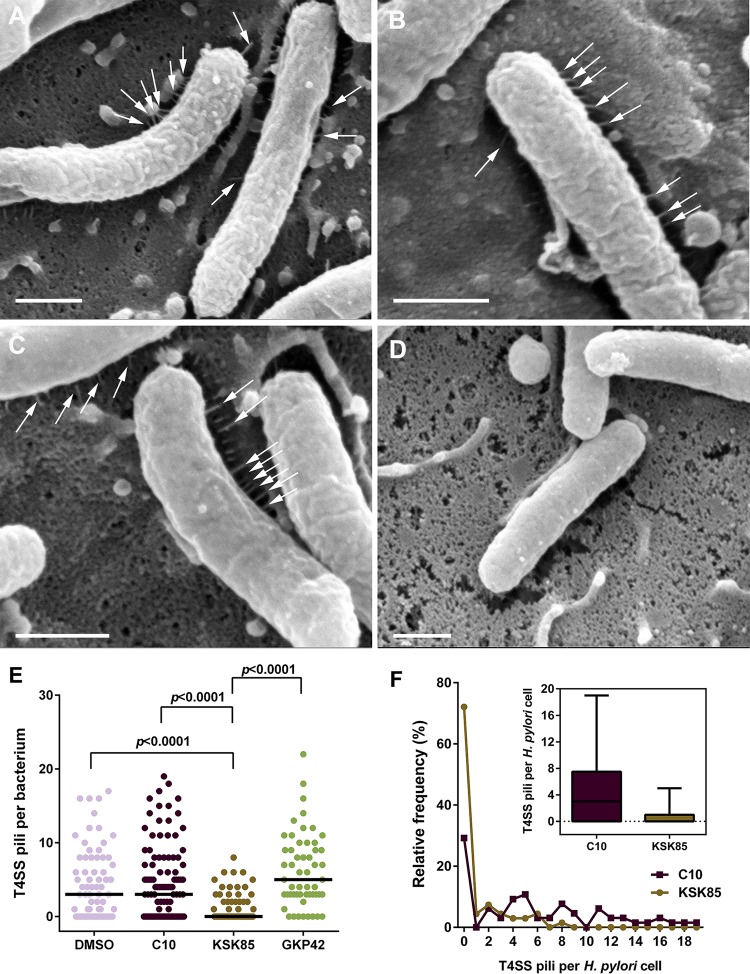 FIG 2 