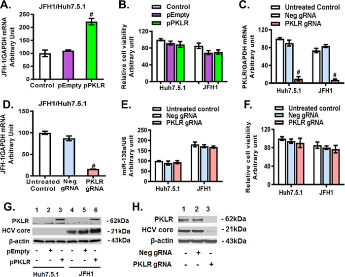 FIG 6