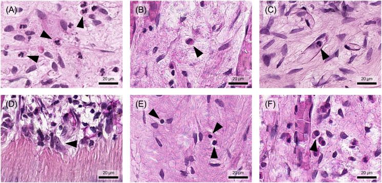Figure 3