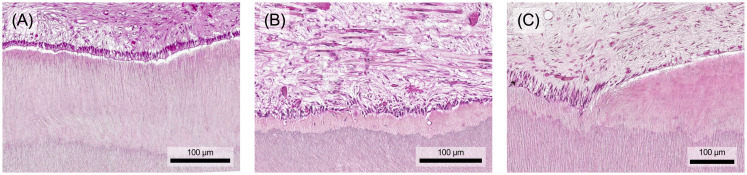 Figure 6
