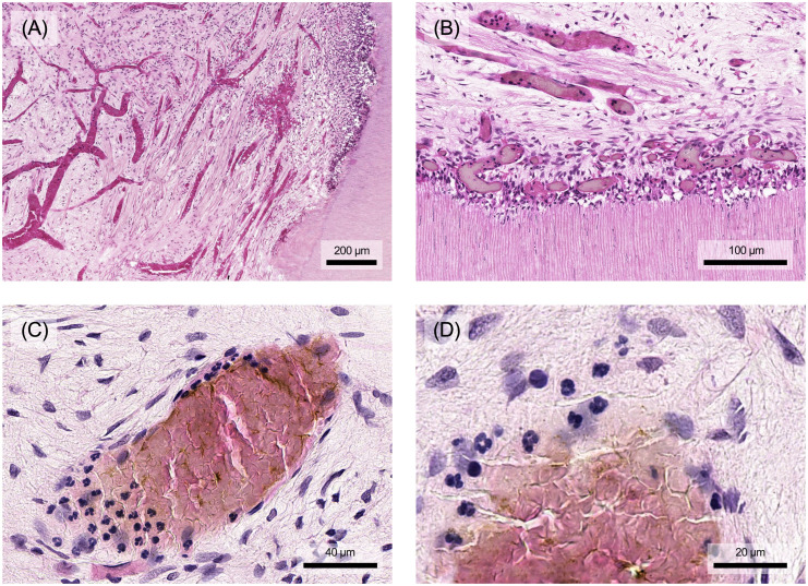 Figure 4