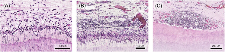 Figure 5