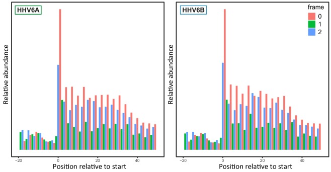 Figure 1—figure supplement 1.