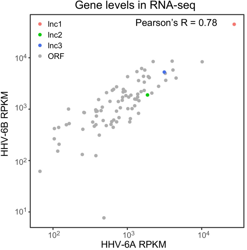 Figure 4—figure supplement 2.