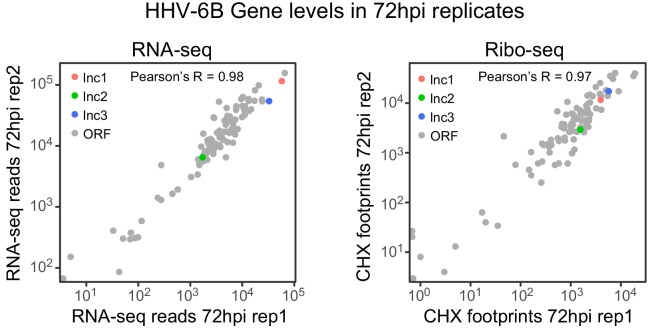 Figure 7—figure supplement 1.