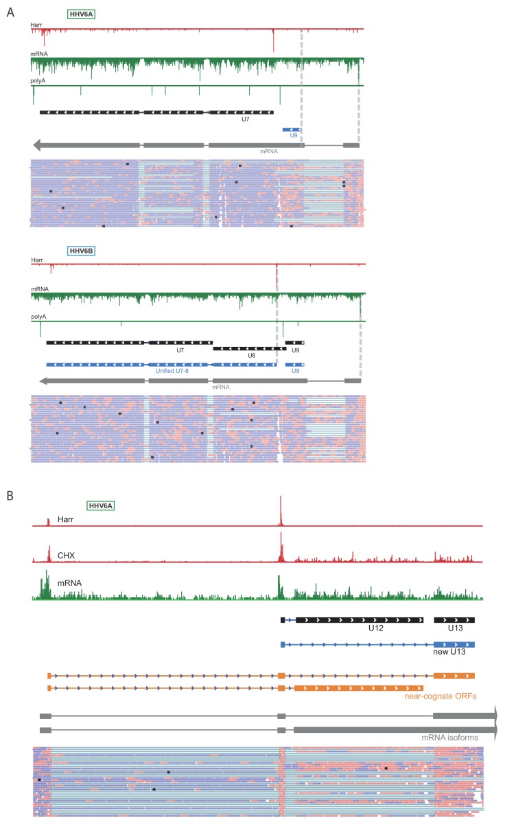 Figure 3—figure supplement 1.