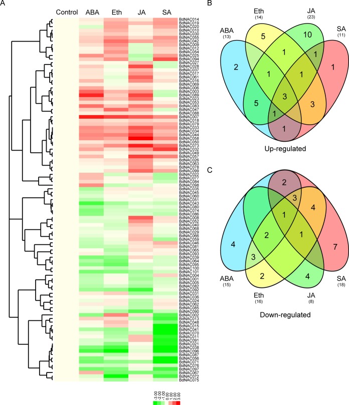 Fig 6