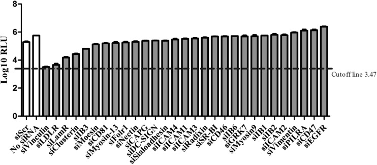 FIG 1