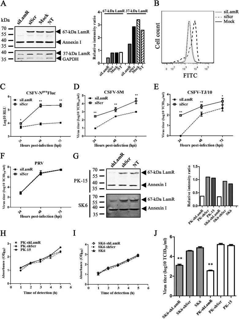 FIG 2