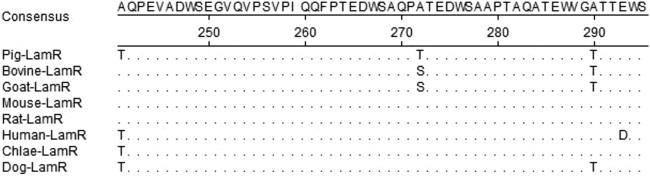 FIG 6