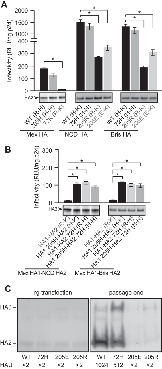 FIG 2