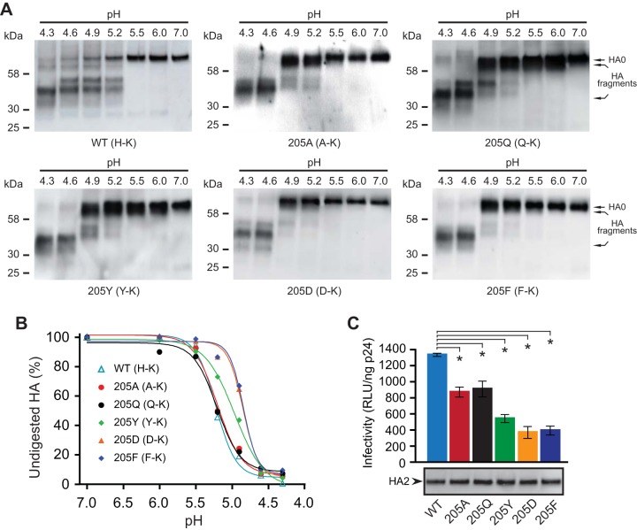 FIG 6