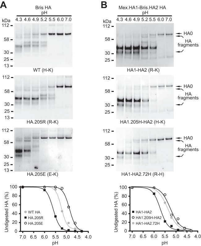 FIG 3