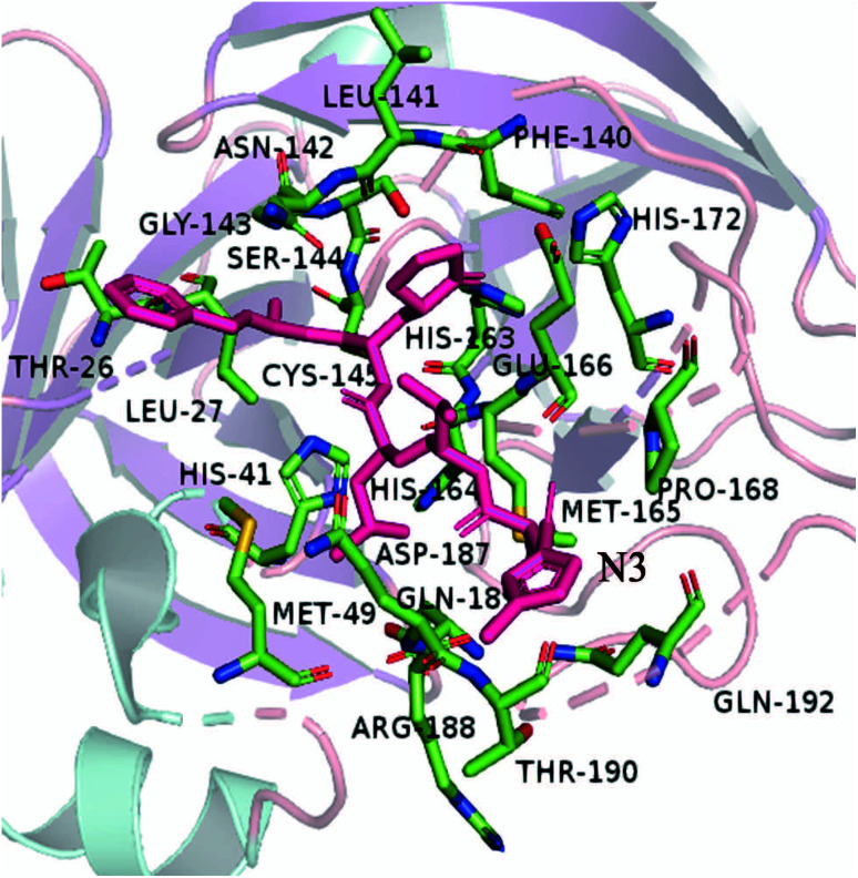 Fig. 1