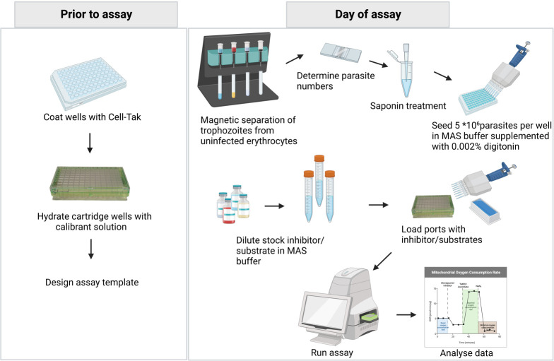 graphic file with name BioProtoc-13-21-4863-ga001.jpg