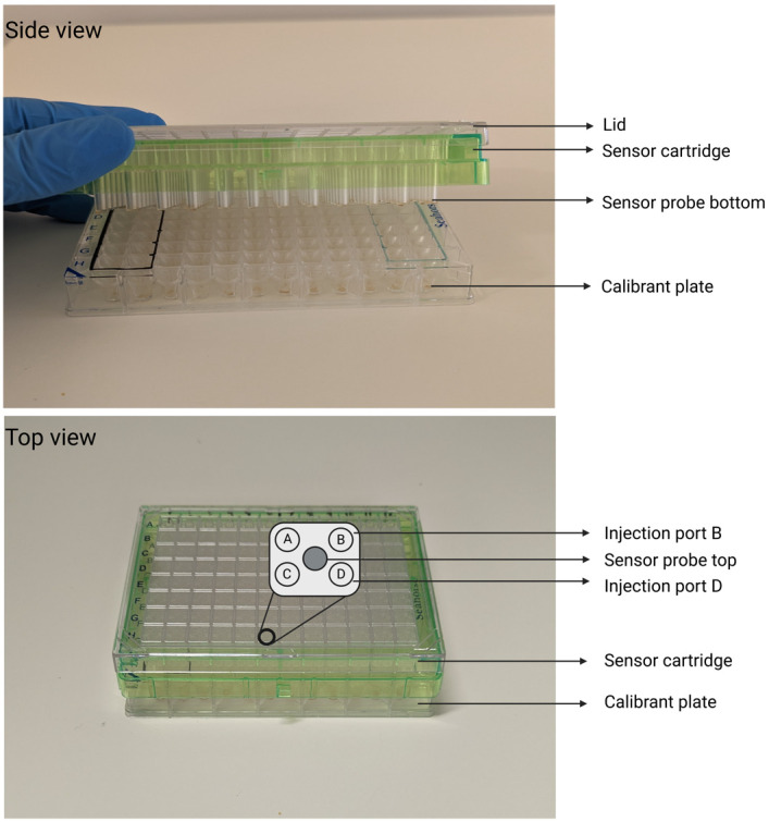 Figure 2.