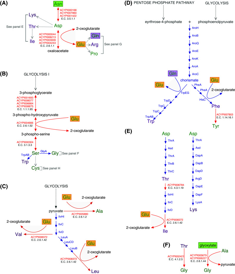 Fig. 3