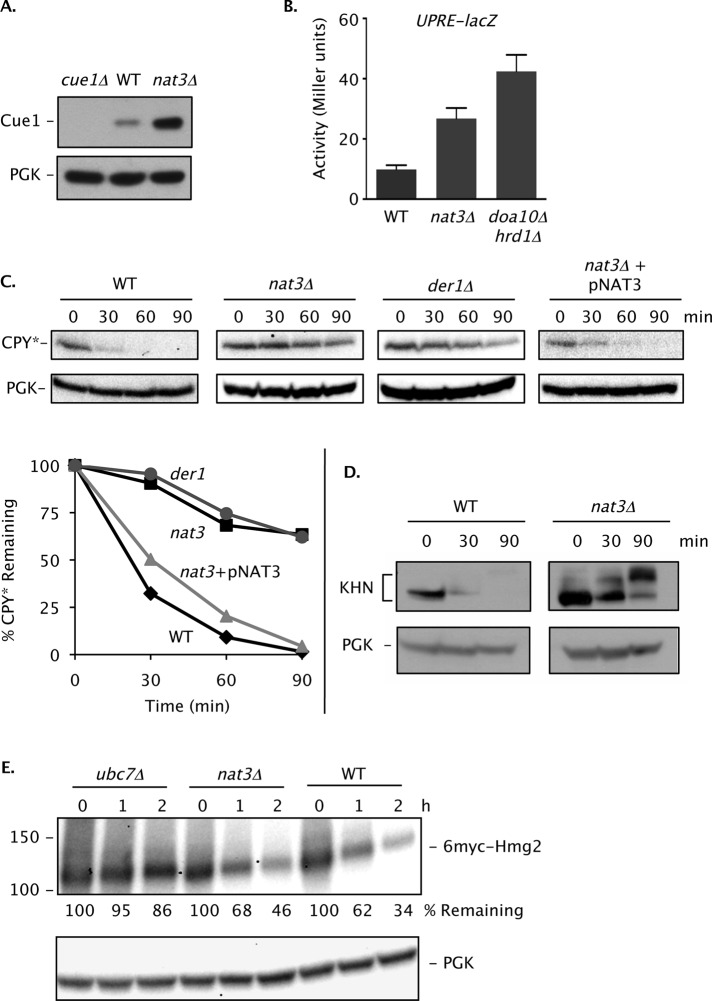 FIGURE 2: