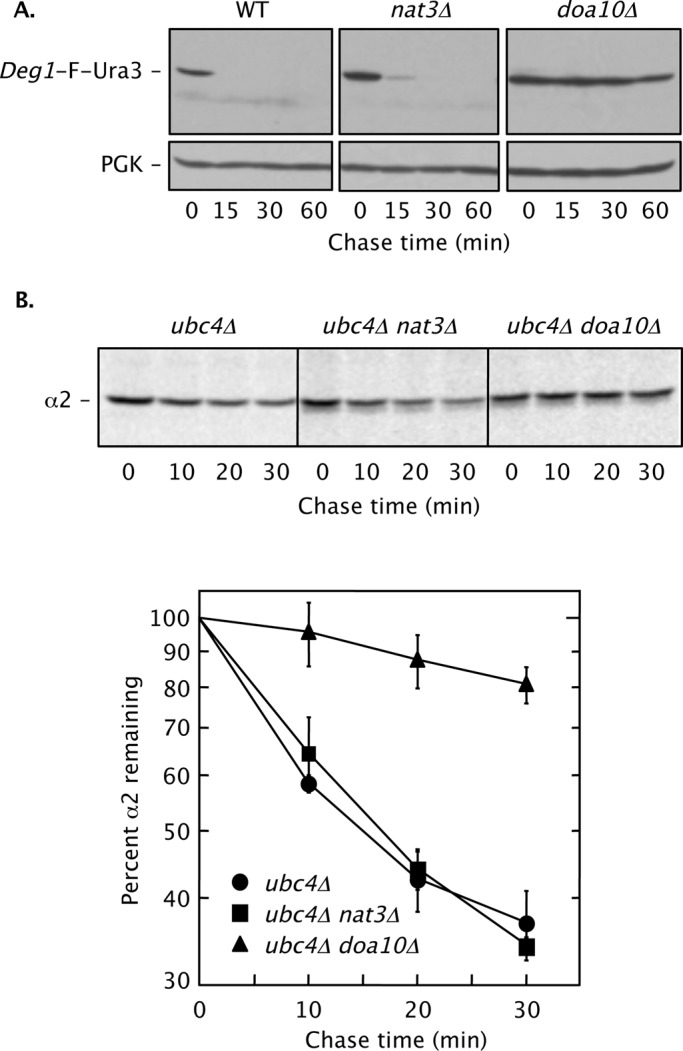 FIGURE 1: