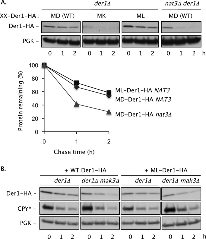 FIGURE 5: