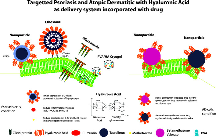 Graphical Abstract