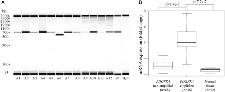 Fig. 3.