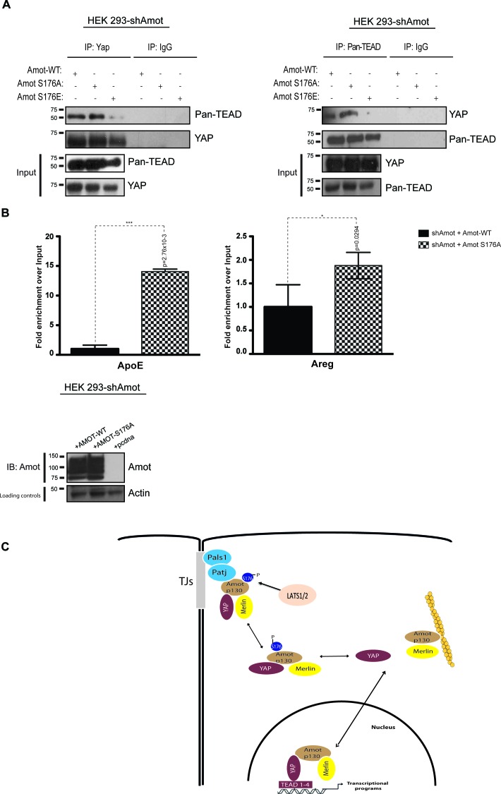 Figure 7.