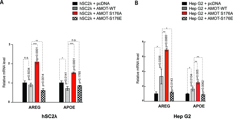 Figure 6—figure supplement 3.