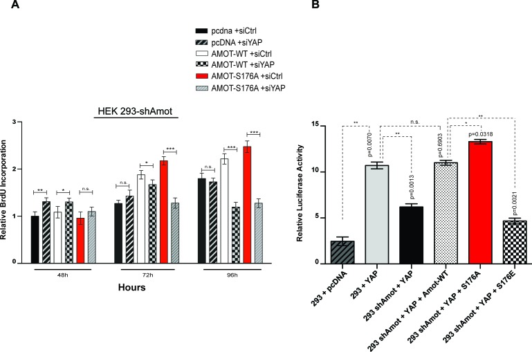 Figure 6—figure supplement 2.