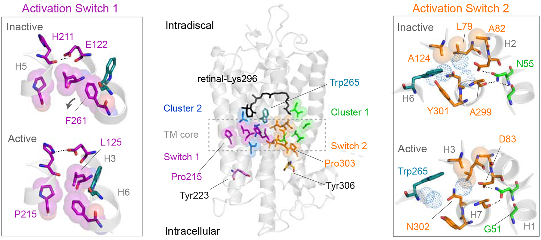 Figure 1.