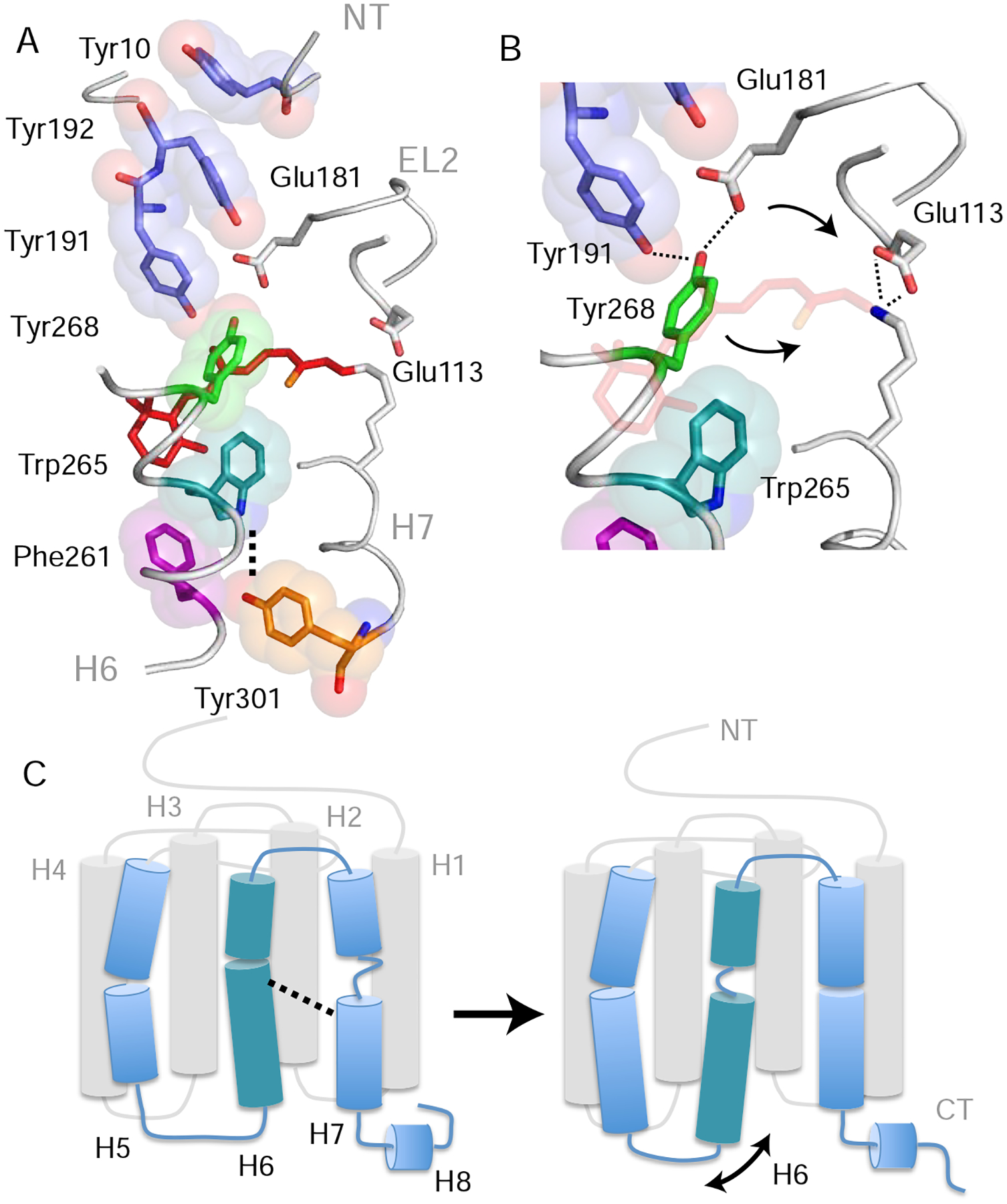 Figure 5.