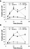 FIG. 2.