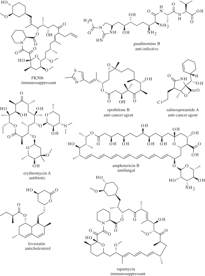 Figure 1.