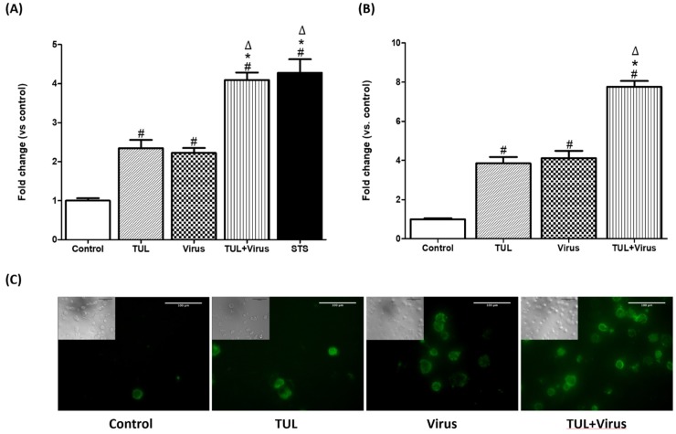 Fig 8