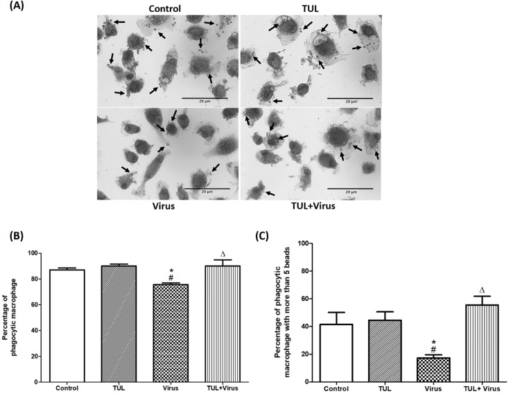 Fig 11