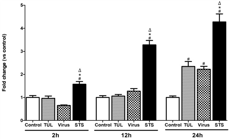 Fig 7