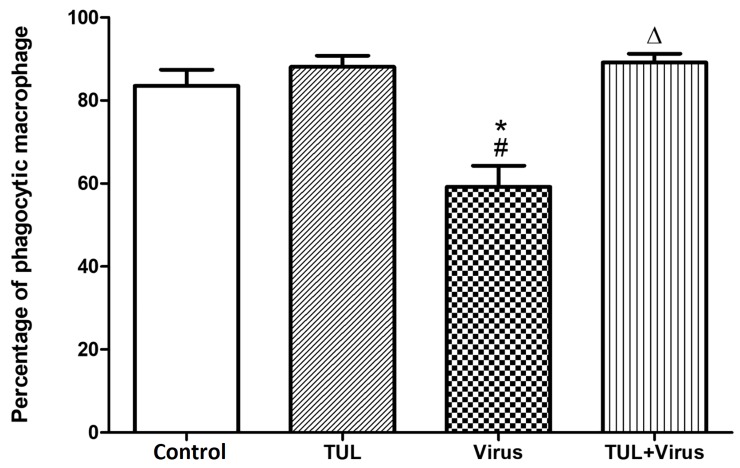 Fig 12