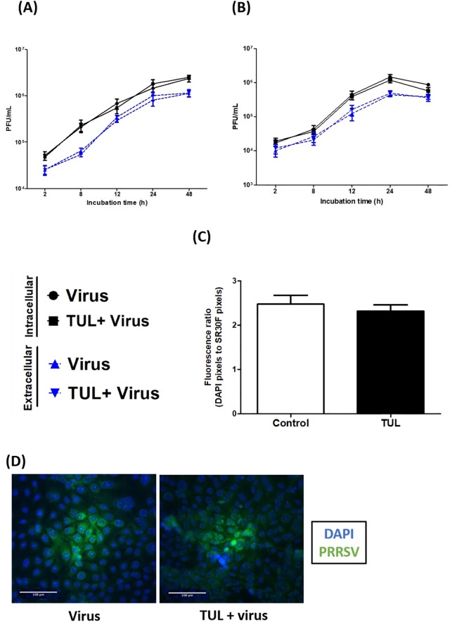 Fig 13