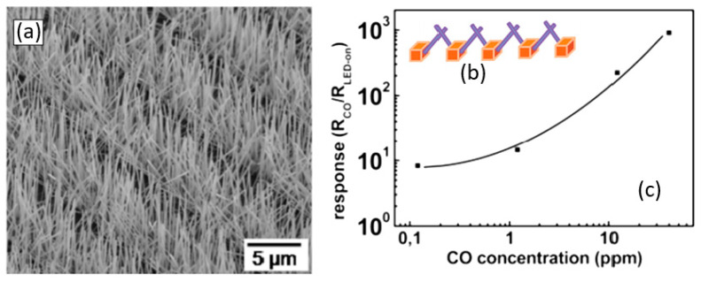 Figure 31