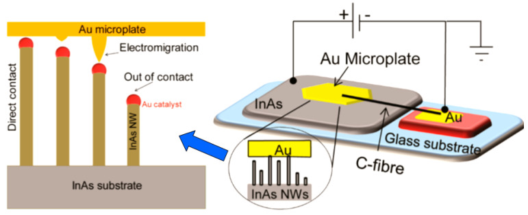 Figure 29